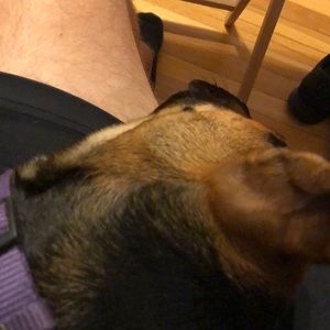 Meet your Posher, Justin